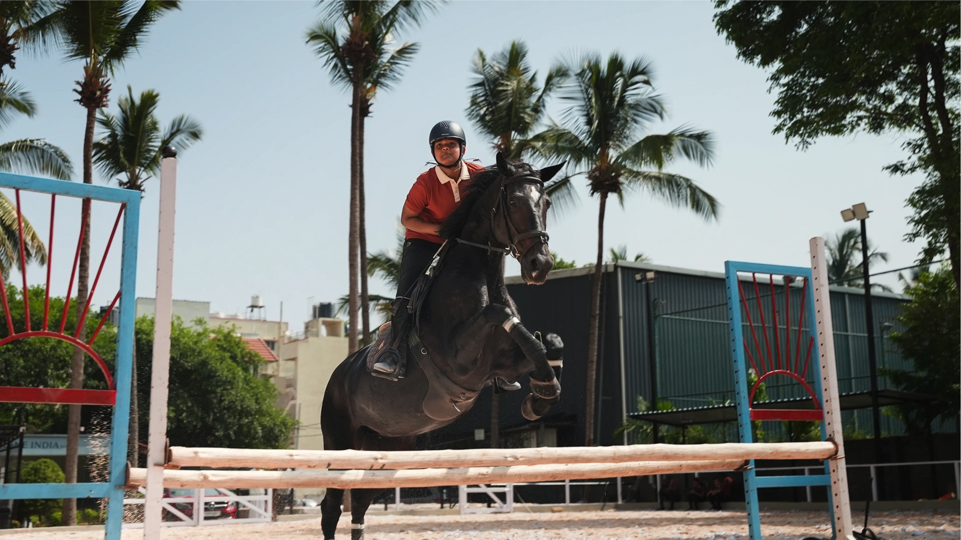 Development • Performance • Dressage • Showjumping