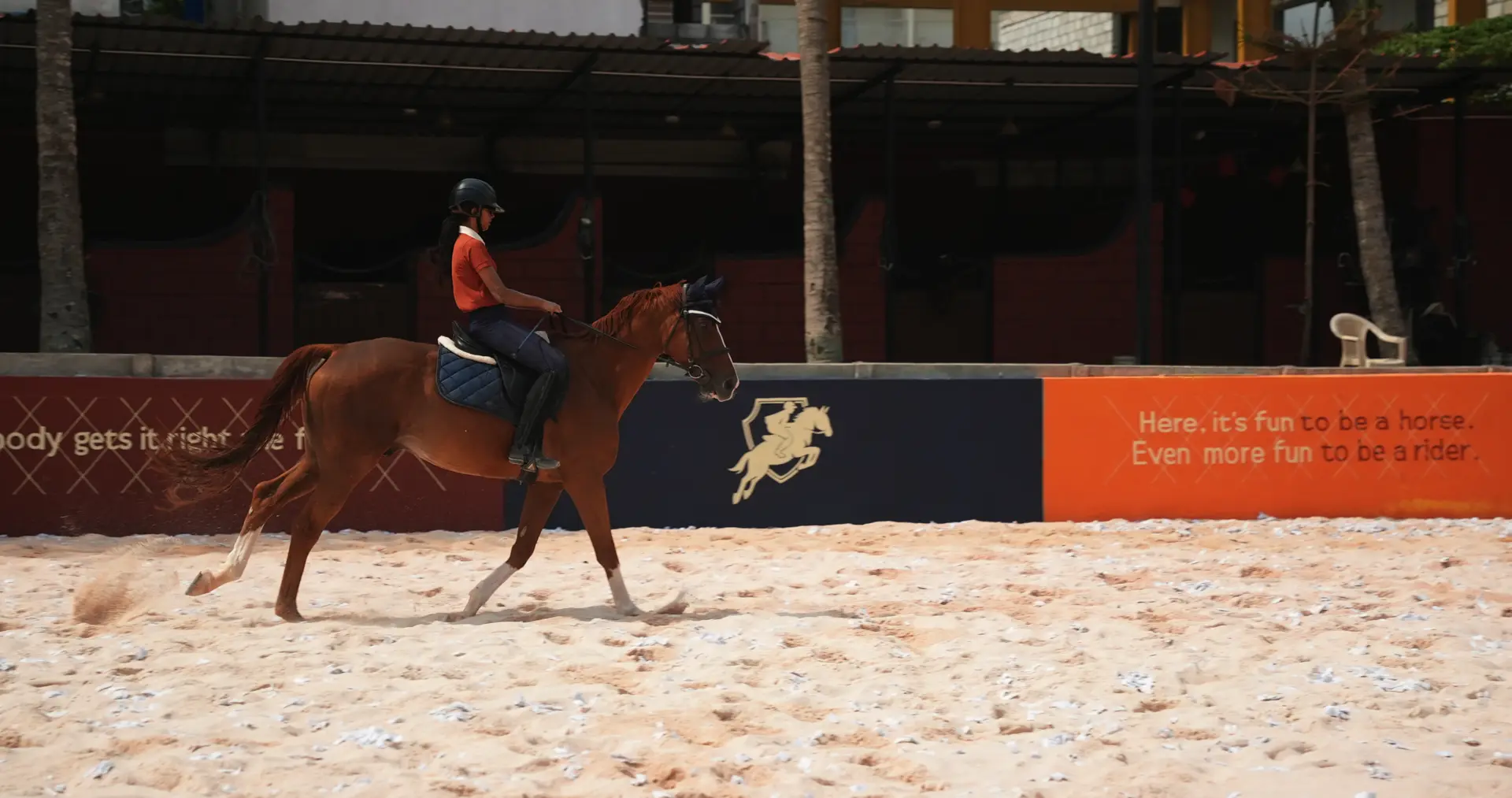 Horse and rider