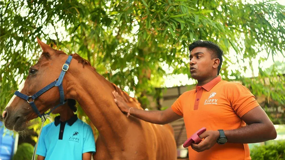 HORSE TRAINING