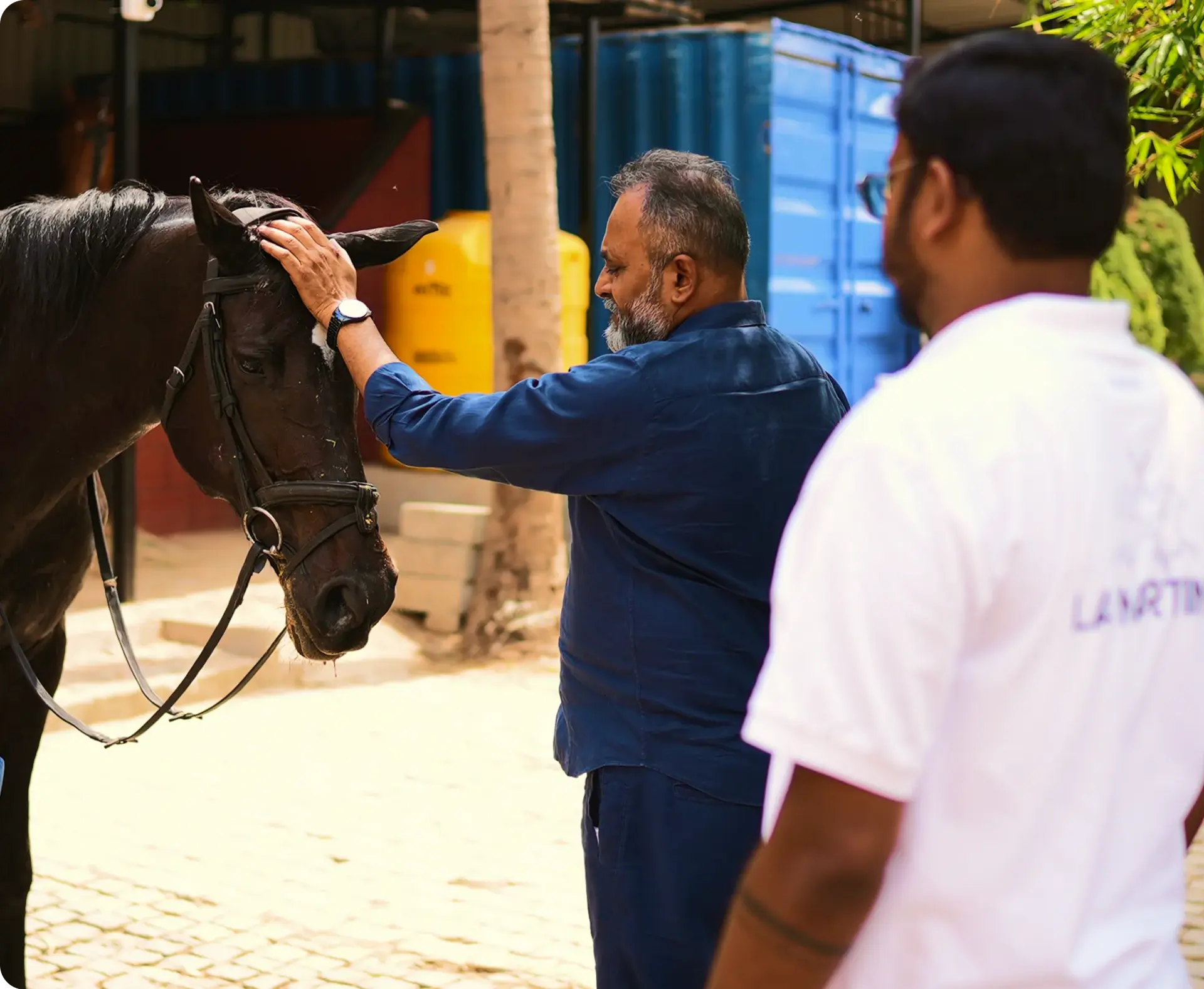 EQUESTRIAN CONSULTATION