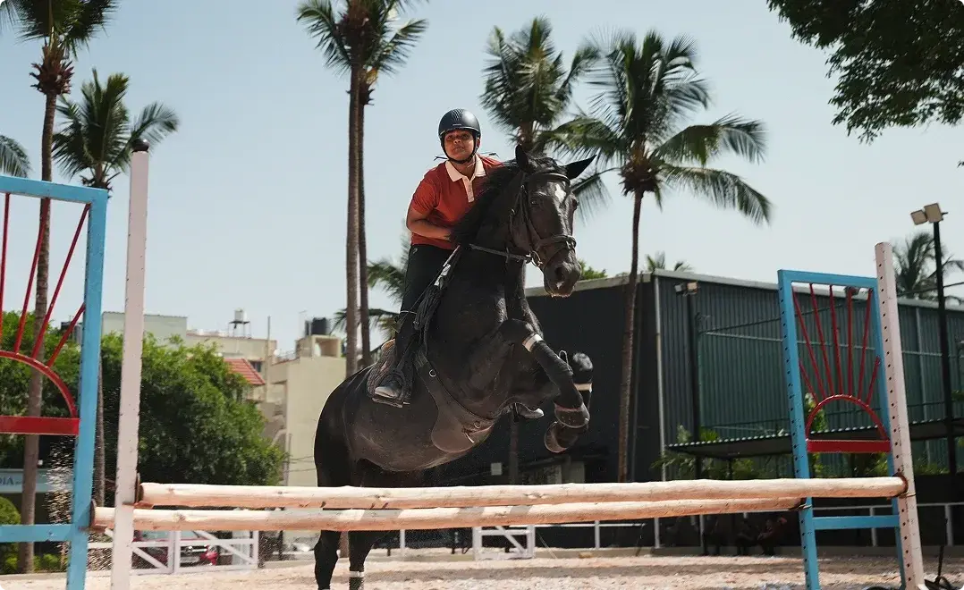 Show jumping Program